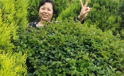 日本做床爱全过程激烈视频